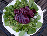 Salade de cresson, de betteraves et d'oranges